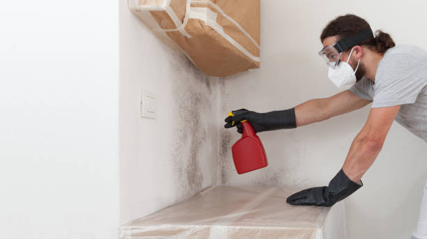 Professional Bathroom Mold Removal technician working in Weston, NJ