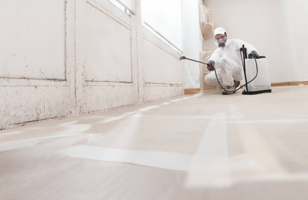 24/7 Emergency Bathroom Mold Removal experts in Weston, NJ